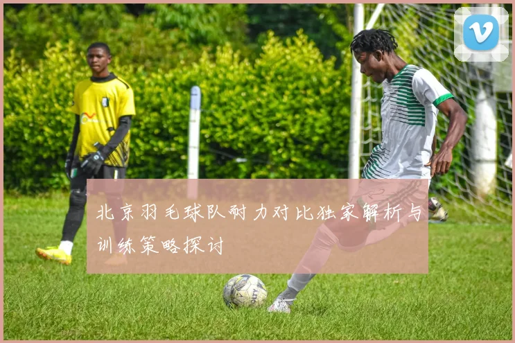北京羽毛球队耐力对比独家解析与训练策略探讨